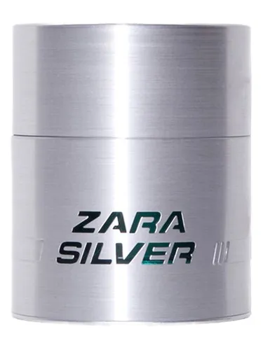 Zara Silver Zara