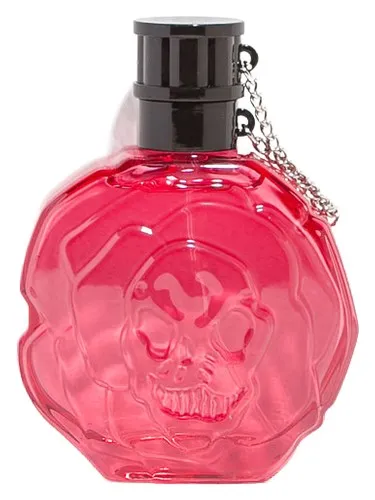 Zara Rose Petal Zara