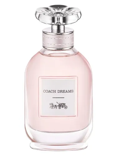 Coach Dreams Coach