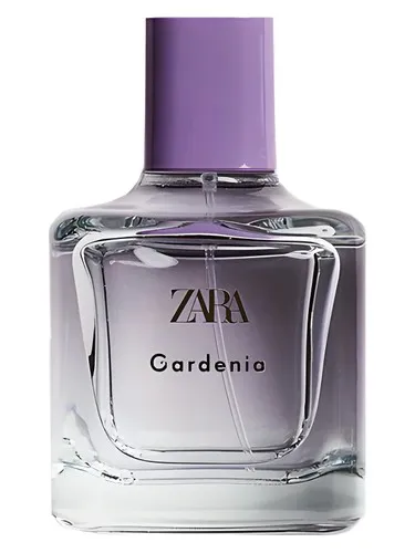 Gardenia Zara