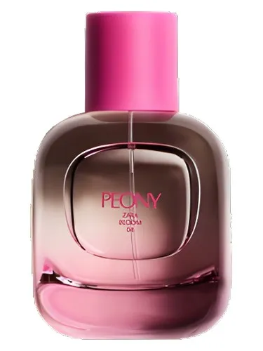 Peony Zara