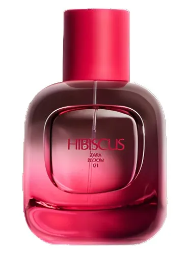 Hibiscus Zara