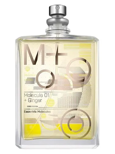 Molecule 01 + Ginger Escentric Molecules