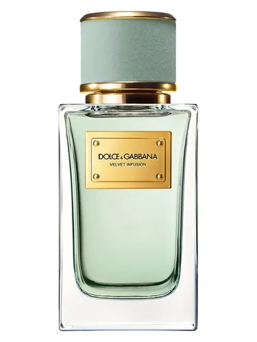 Velvet Infusion Dolce&Gabbana