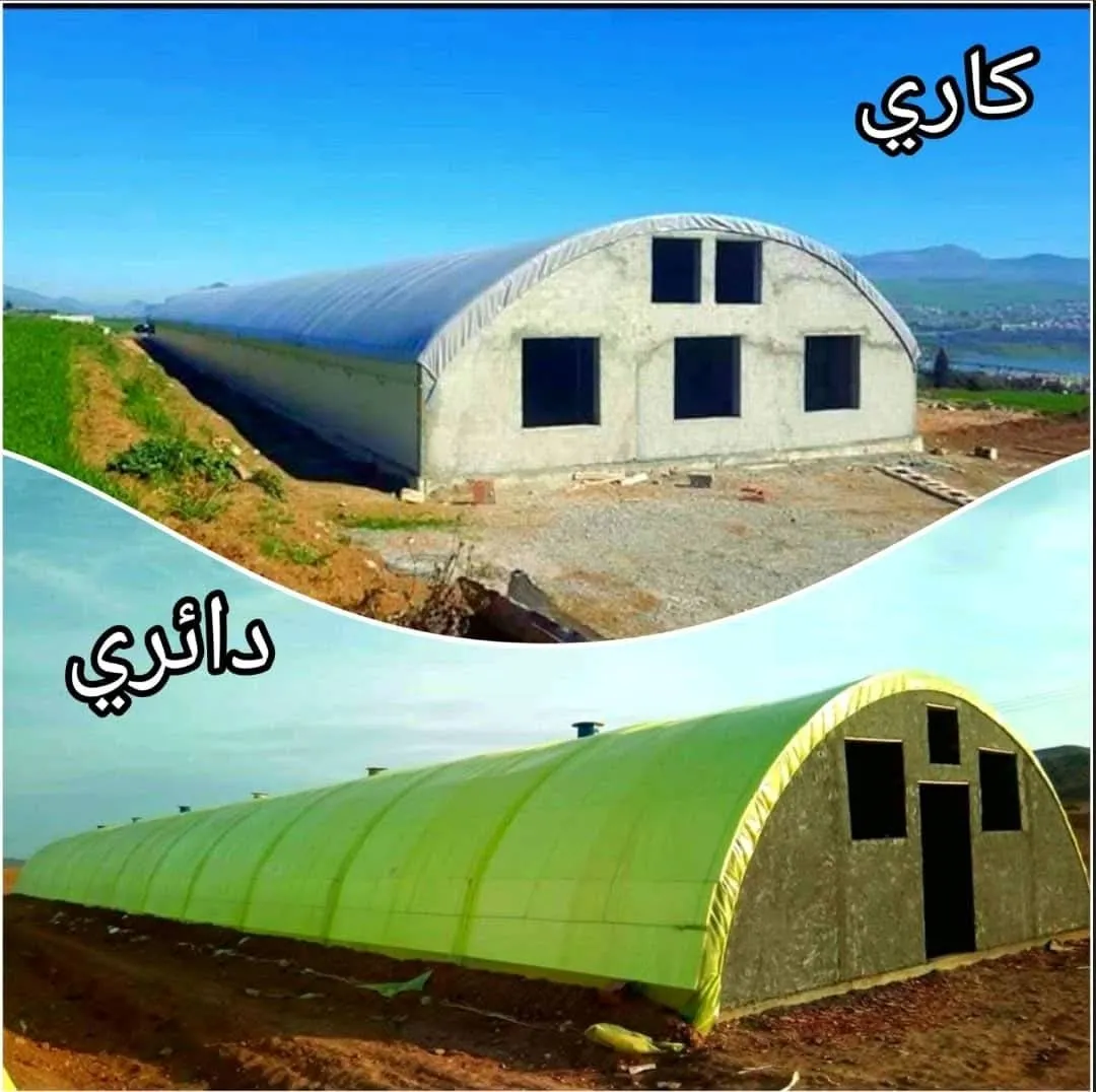 البيوت البلاستيكية